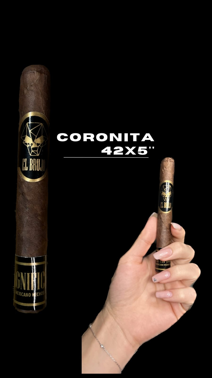 Coronita